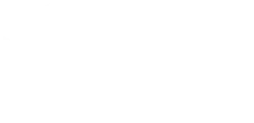 Logo Bartolini